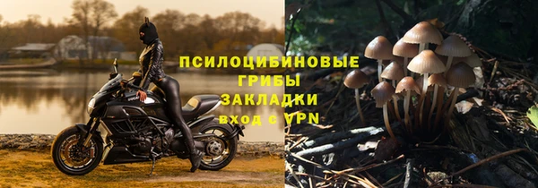 ALPHA-PVP Алексин