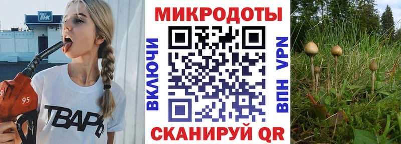 гидра онион  Ханты-Мансийск  Галлюциногенные грибы Psilocybe 